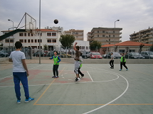 basket1